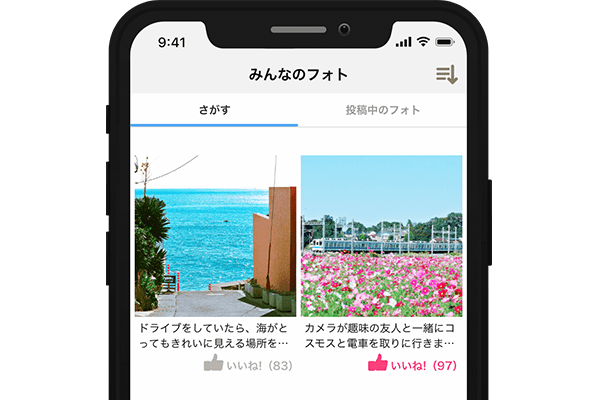 IBJSみんなのフォト